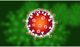 Informácie a odporúčania ku koronavírusu (COVID-19) 